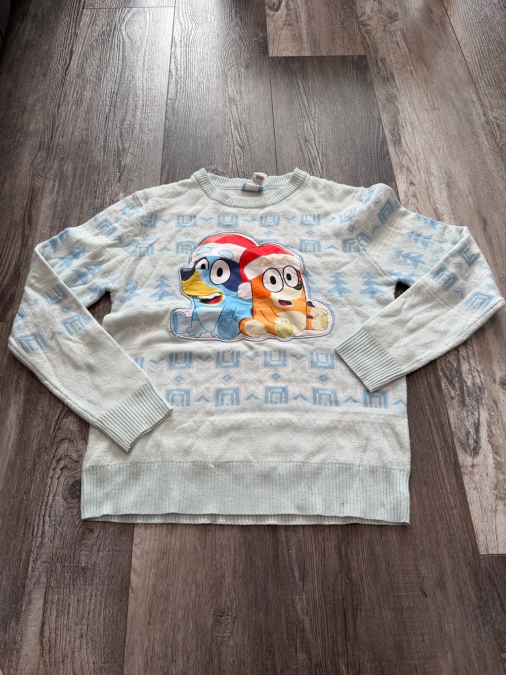 Bluey Light Blue Crewneck Sweater with Holiday Character Graphic